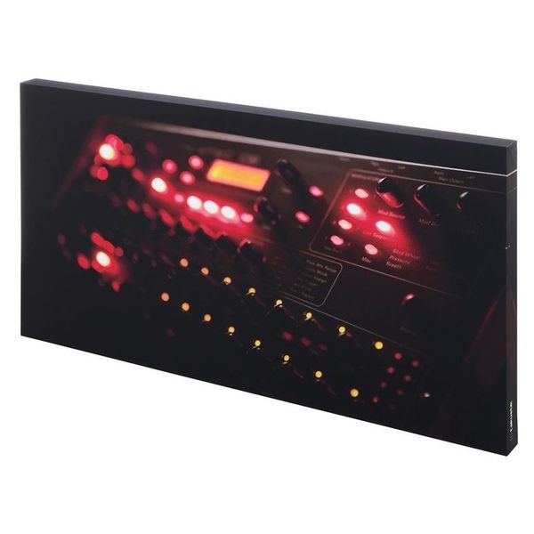 t.akustik Print Panel The Prophet