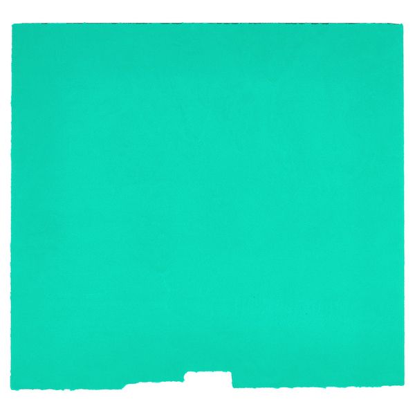 Thomann Inlay Sennheiser A1031