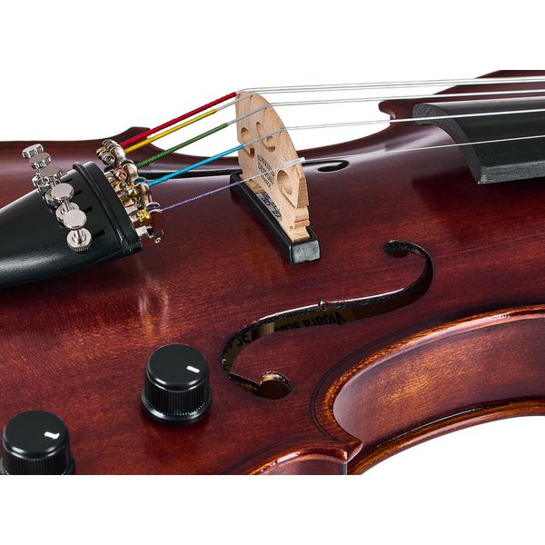 Roth & Junius Acoustic-Electric Violin 5-Str