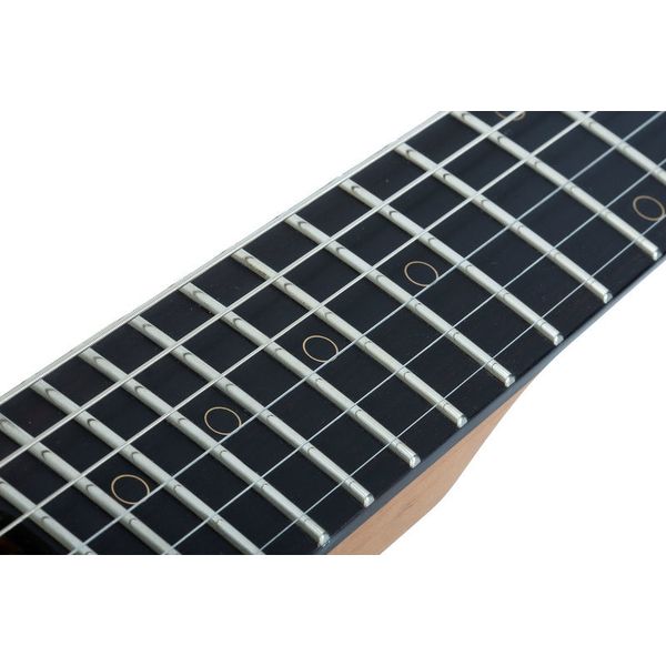 Schecter Signature Nick Johnston HSS AS