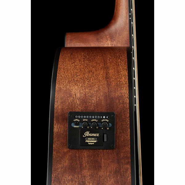 Ibanez AW5412CE-OPN Artwood