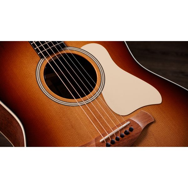 Taylor Gold Label 517e SB Cream