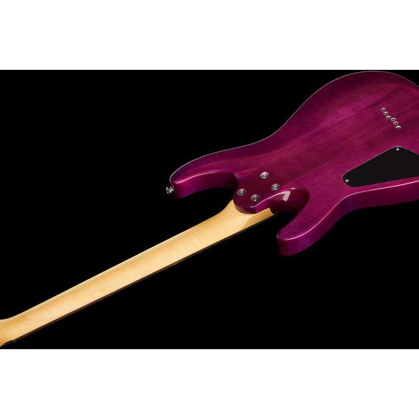 Schecter C-6 Plus EM