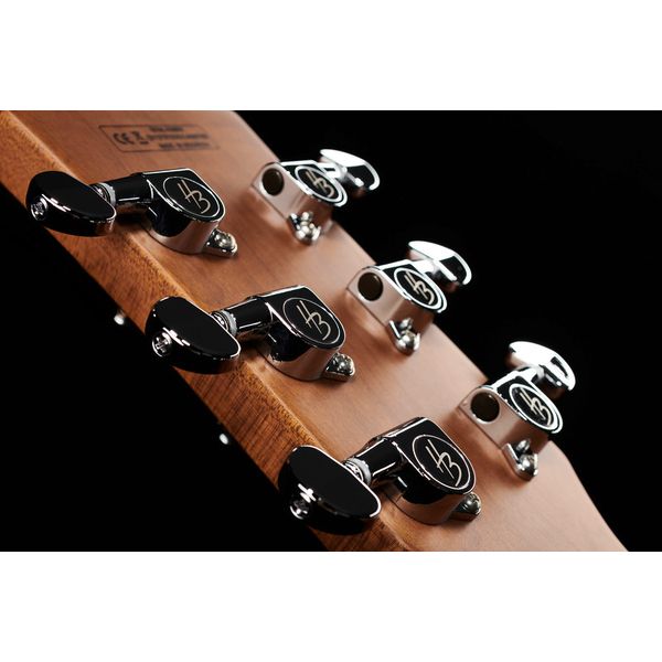 Harley Benton Aeolus Frost Flame