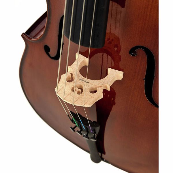 Stentor SR1102 Cello Student I 1/4