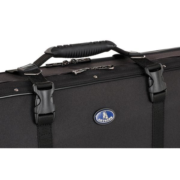 Artonus Geeston Violin CB