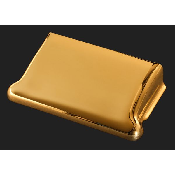 Fender LTD '65 Dual Mag Strat BIM