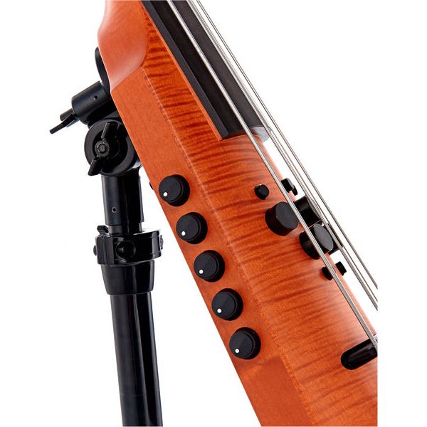 NS Design CR5M-DB Amber Bass