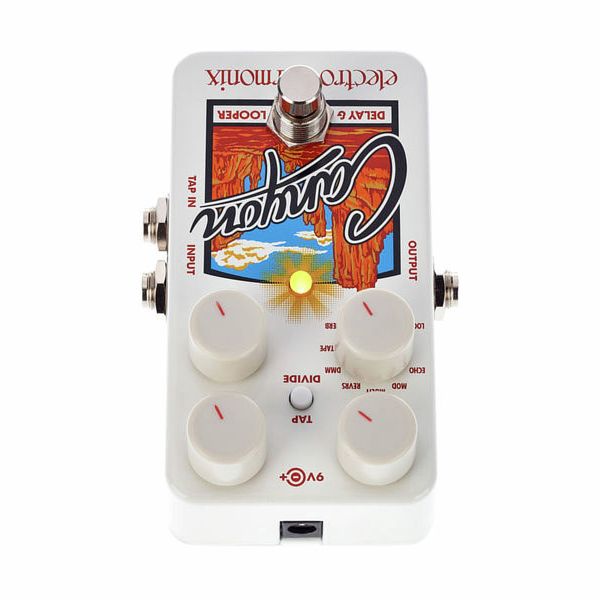 Electro Harmonix Canyon Delay & Looper
