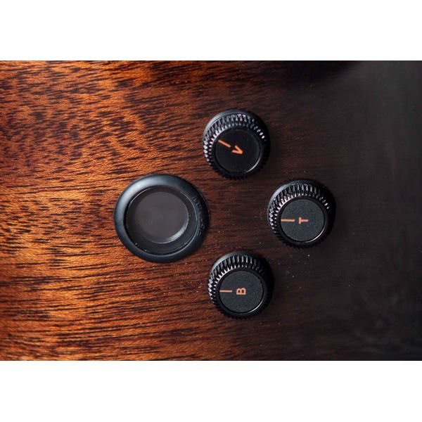 Breedlove Wildwood Pro Drdnght Conc CE