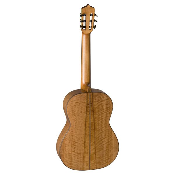 La Mancha Aliso Macizo