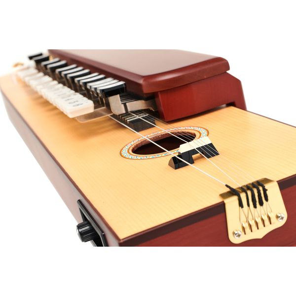 Suzuki Electric Taisho Harp TAS-11