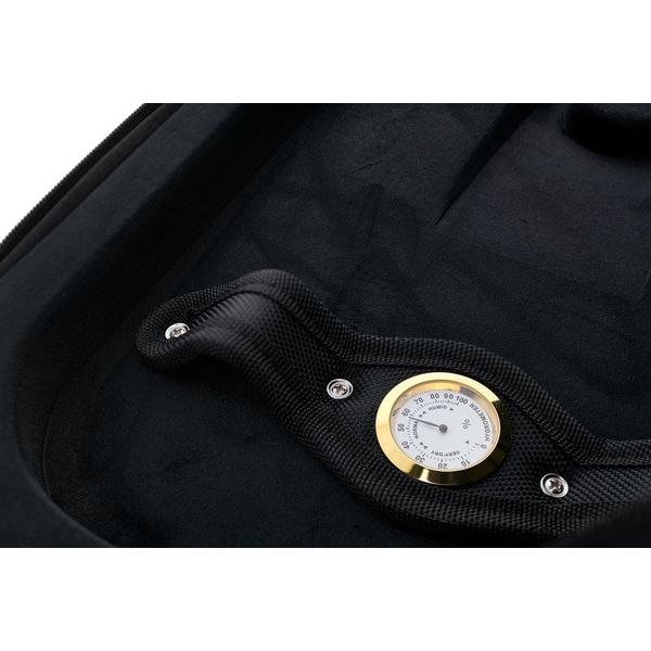 Roth & Junius Violin Oblong Case Eva RD 4/4