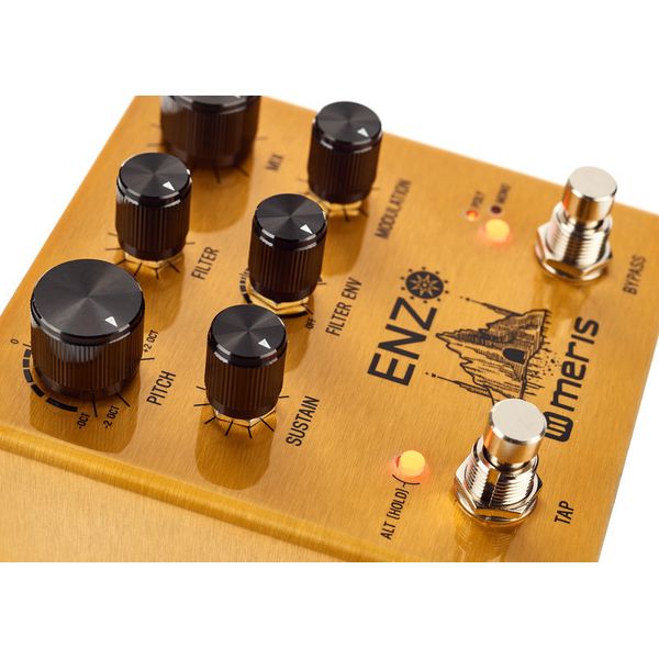 Meris Enzo Multi-Voice Synthesizer