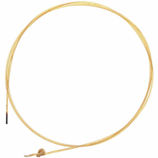 Pirastro Evah Pirazzi Slap G String Gut