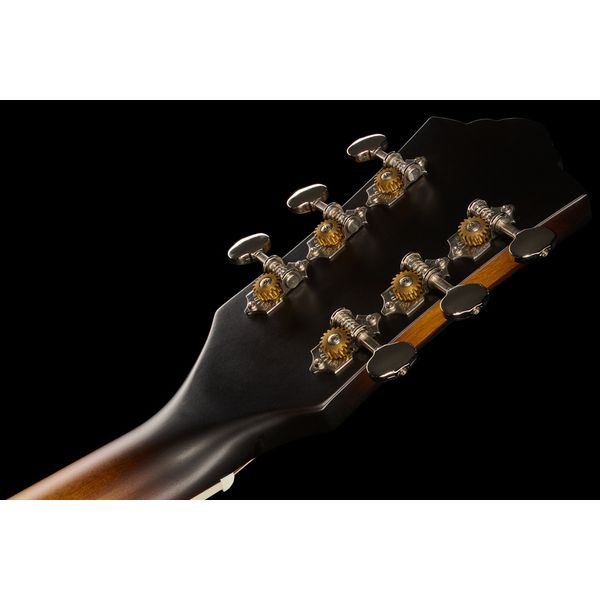 Guild F-250CE Deluxe ATB