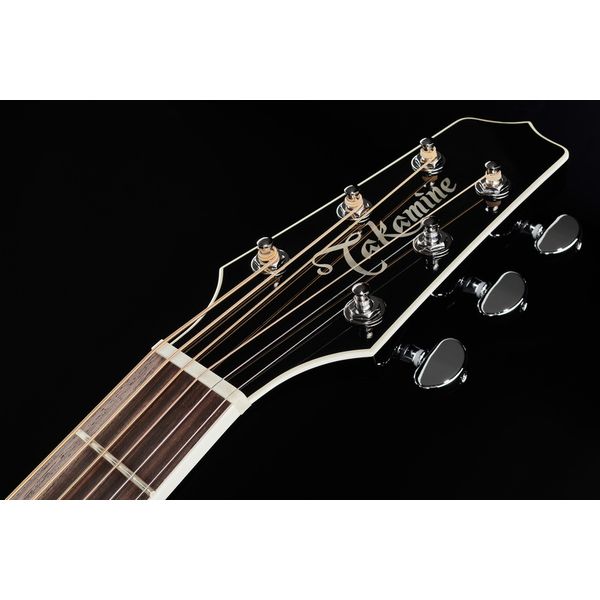 Takamine FT341