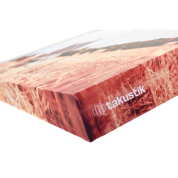 t.akustik Print Panel Acoustic Fields