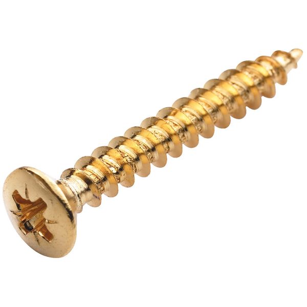 Warwick Screws Bolt-On Necks/Gurt Gold