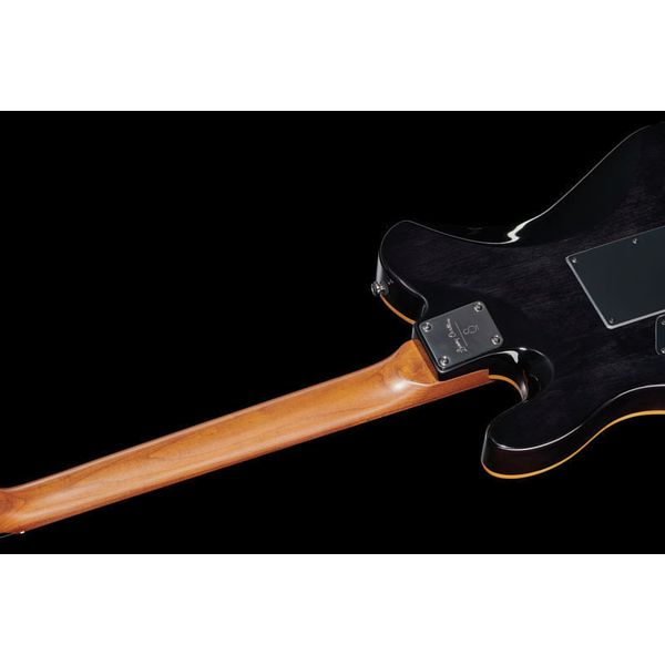 Larry Carlton T7 FM TBK