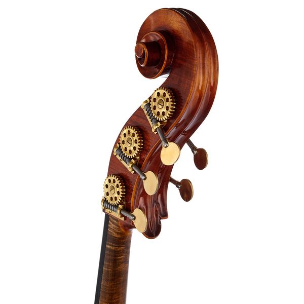 Scala Vilagio Double Bass Gamba 5-Str. IB
