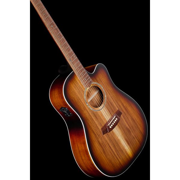 Cole Clark FL2EC-BLBL-SUN Fat Lady