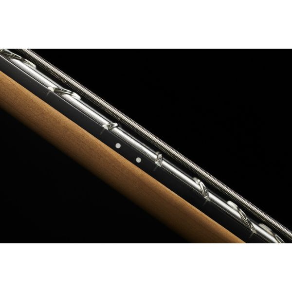 Warwick Artist Line Robert Trujillo 5