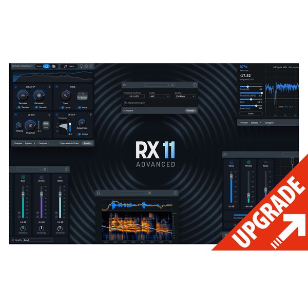 iZotope RX 11 Adv UG RX Adv / PPS