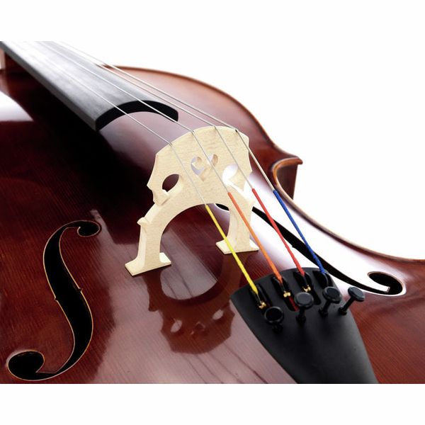 Gewa Maestro 6 Lefthanded Cello 4/4