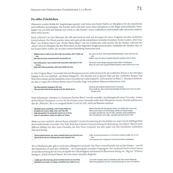 Edition Olms Die Geheimsprache des Blues