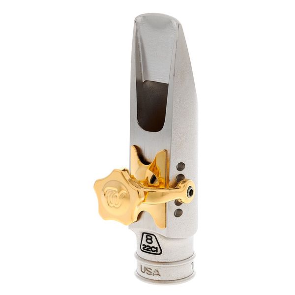 Theo Wanne Mindi Abair II Alto 8