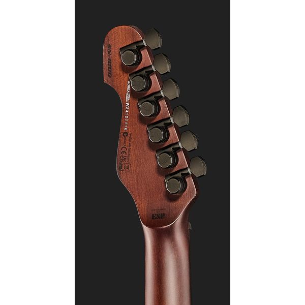 ESP LTD SN-1000 HT Silver Blast