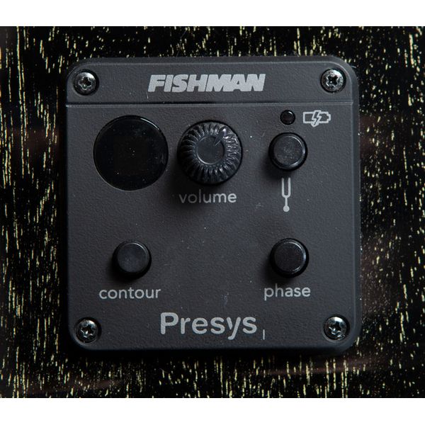 Breedlove Rainforest S Concert CE BG