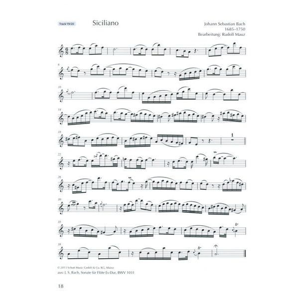 Schott Klarinette Hobby Konzertband