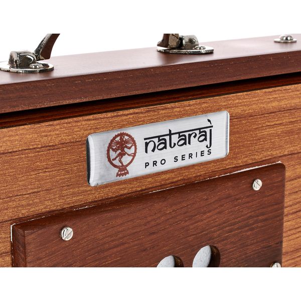 Thomann Nataraj Prof. Shruti C-C Small