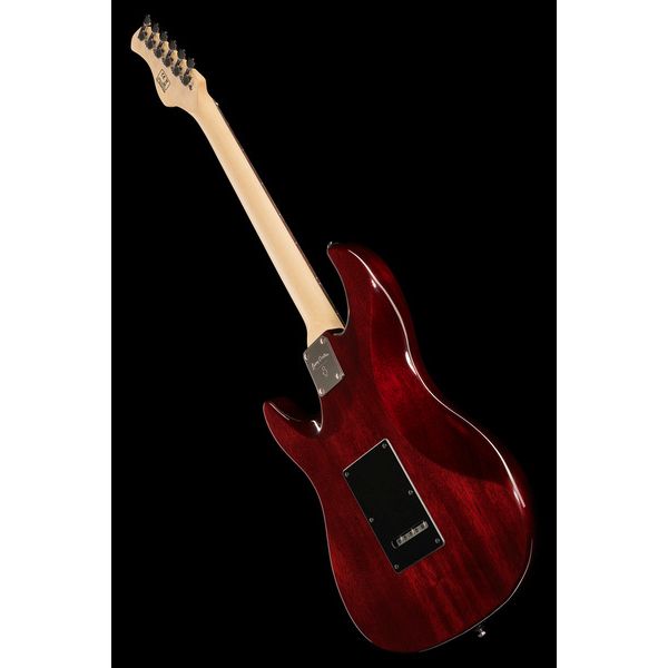 Larry Carlton S3 SSS TS