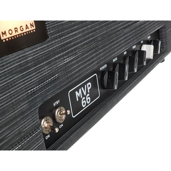Morgan Amplification MVP66 Head Twilight