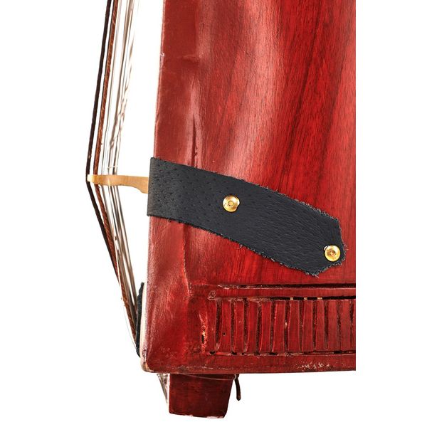 Thomann Nataraj Sarangi