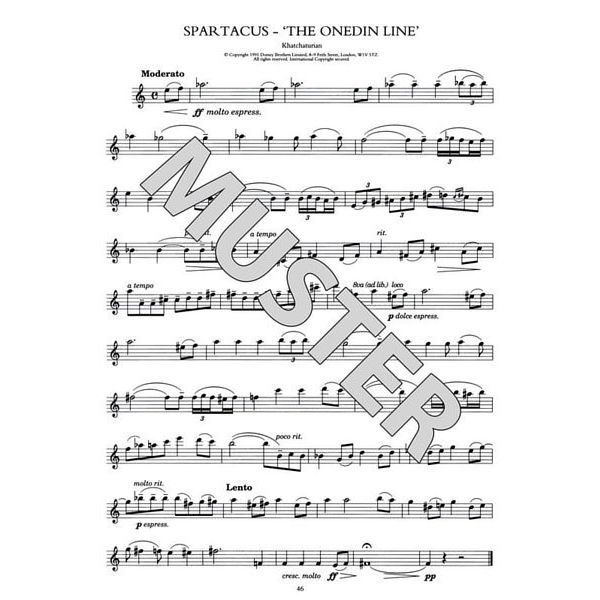 Music Sales 100 Classical Themes Flute