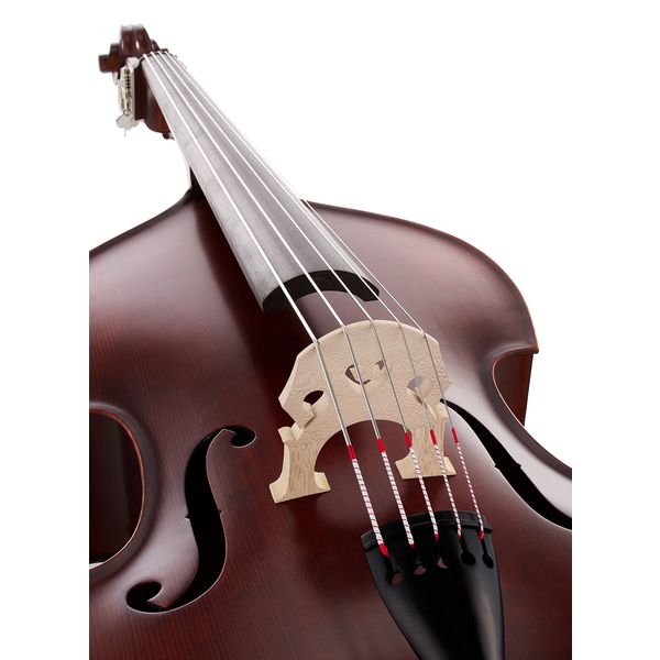 Thomann 22AS/5str. 3/4 Europe Bass