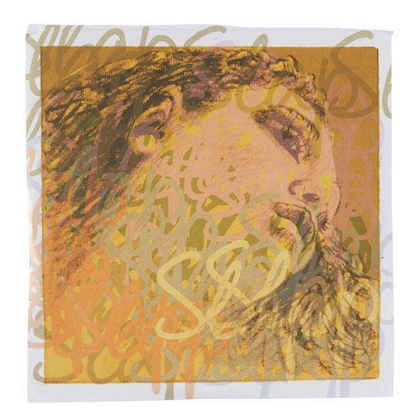 Pirastro Evah Pirazzi Slap E String