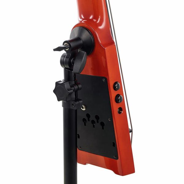 NS Design WAV5c Bass Amberburst