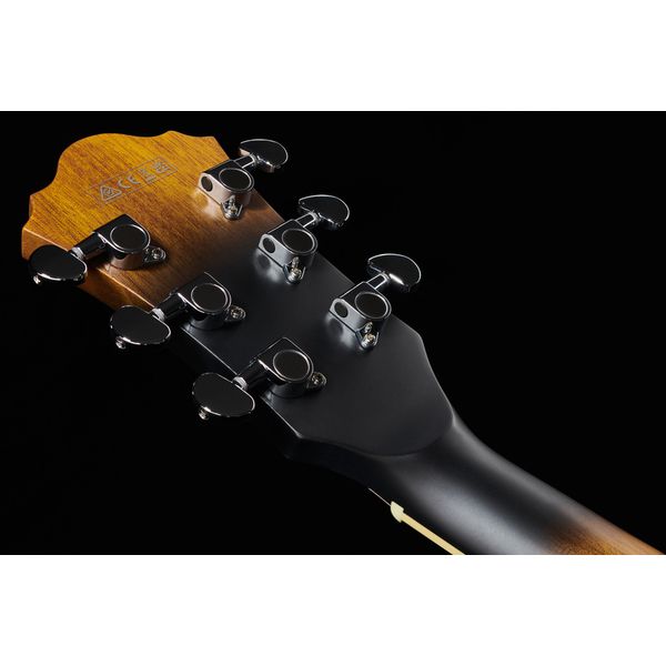 Ibanez AS53-TF