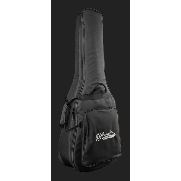 DAngelico Premier Bedford Bob Weir Sig