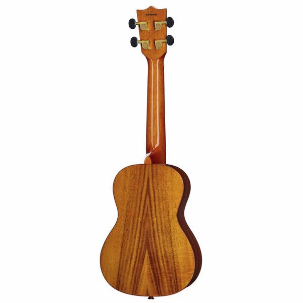 Flight DUC445 Glossy Acacia