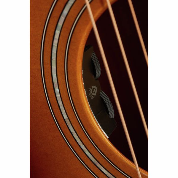 Guild F-250E Deluxe ATB