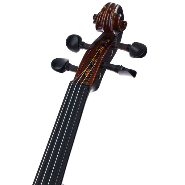 Roth & Junius RJV-S Student Violin Set 4/4