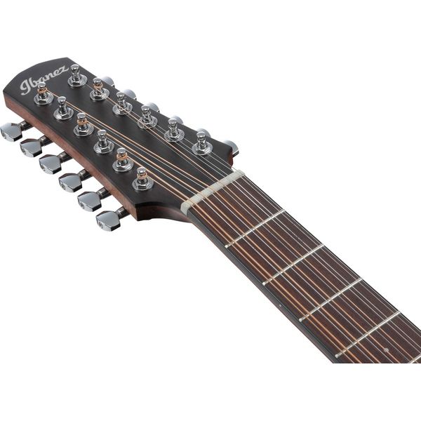 Ibanez AAD1012E-OPN