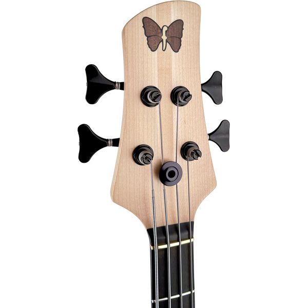 Fodera Monarch Standard Ash 4