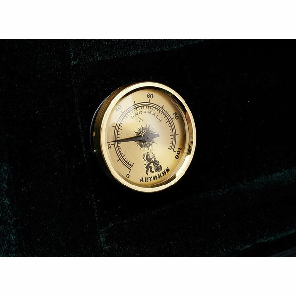 Artonus Neva Viola Case 15"-16,5" SZ